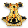 Honey Bee - Adventure Harness