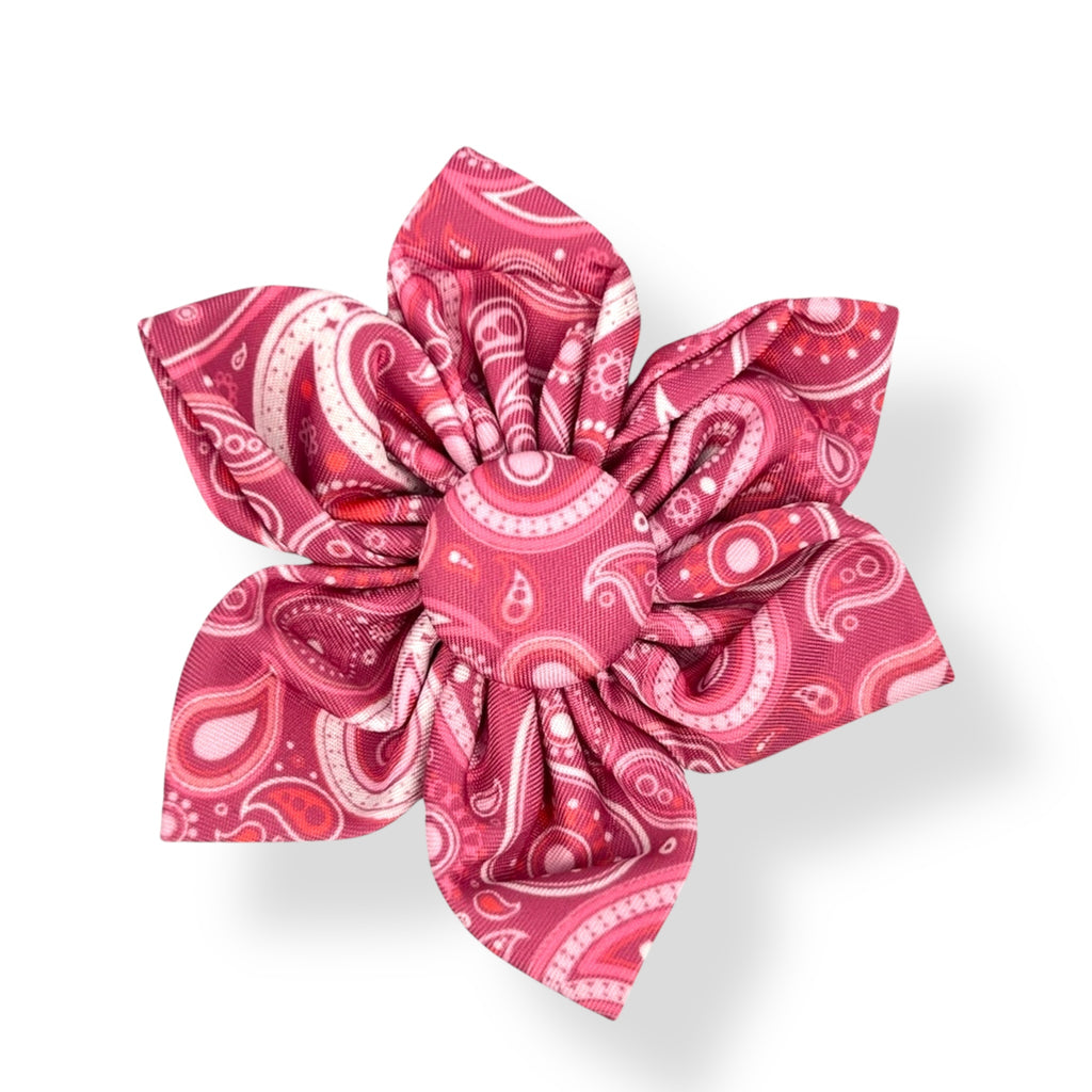 Pink Paisley - Flower Tie