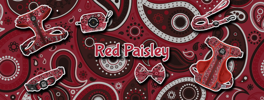 Red Paisley