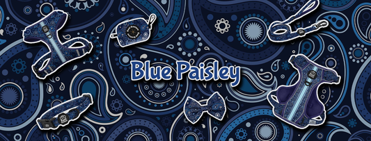 Blue Paisley