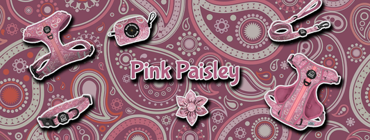 Pink Paisley