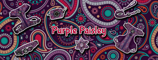 Purple Paisley