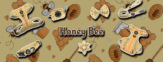 Honey Bee