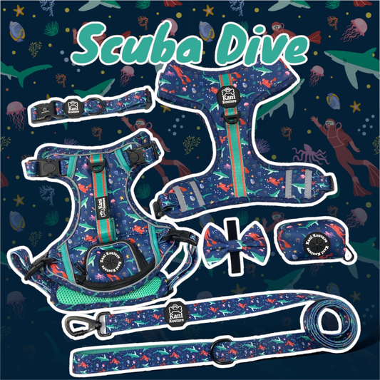 Scuba Dive