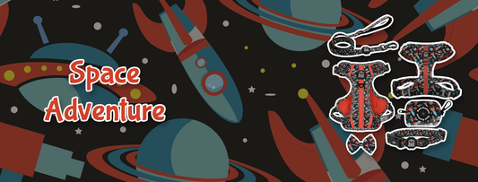 Space voyage