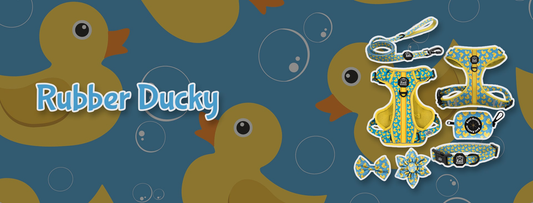 Rubber Ducky