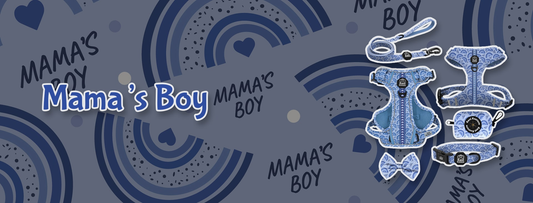 Mama’s Boy