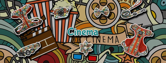 Cinema