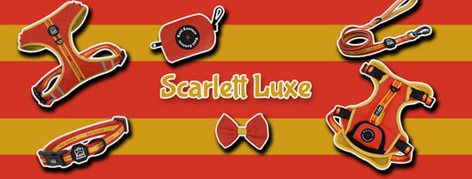Scarlett Luxe