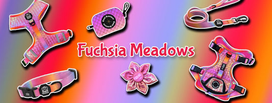 Fuchsia Meadows