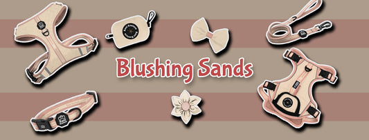 Blushing Sands
