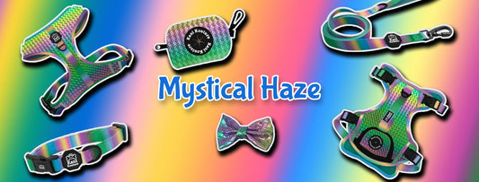 Mystical Haze