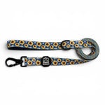 Sunflower Skies Leash