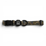 Royal Paisley - Adjustable Collar