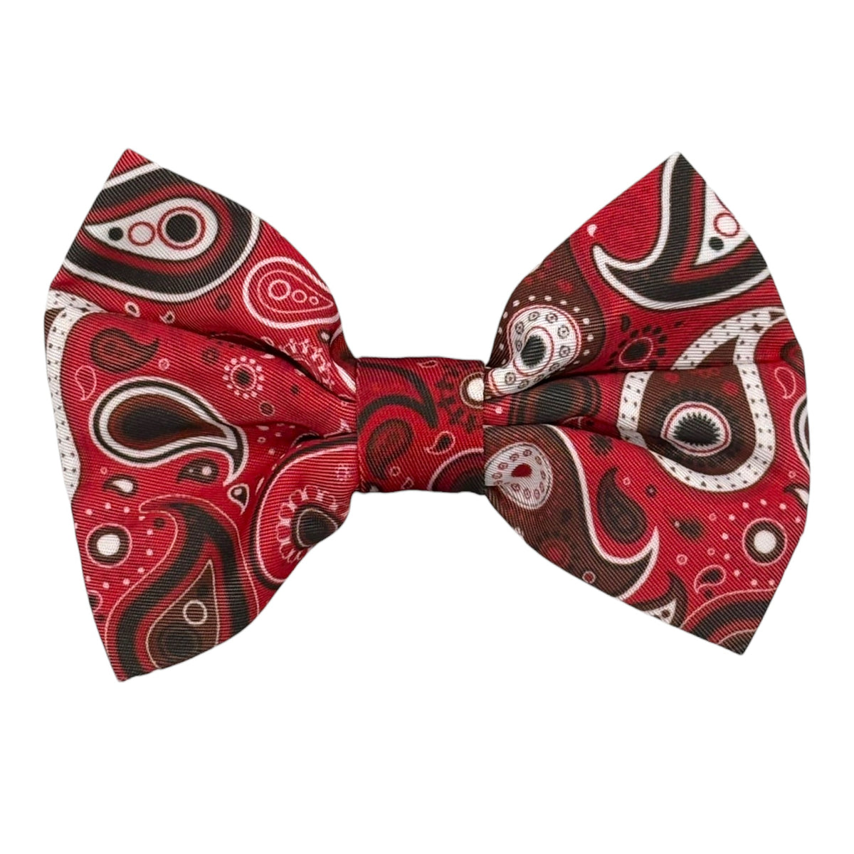 Red Paisley - Collar Tie
