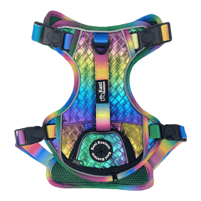 Harnesses