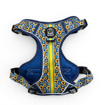 Sunflower Skies - Adventure Harness