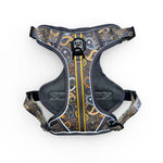 Royal Paisley - Adventure Harness