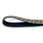 Sunflower Skies Leash
