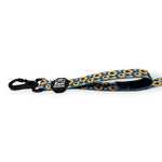 Sunflower Skies Leash