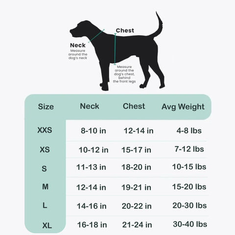 Mama's Girl - Step-in Harness Bundle