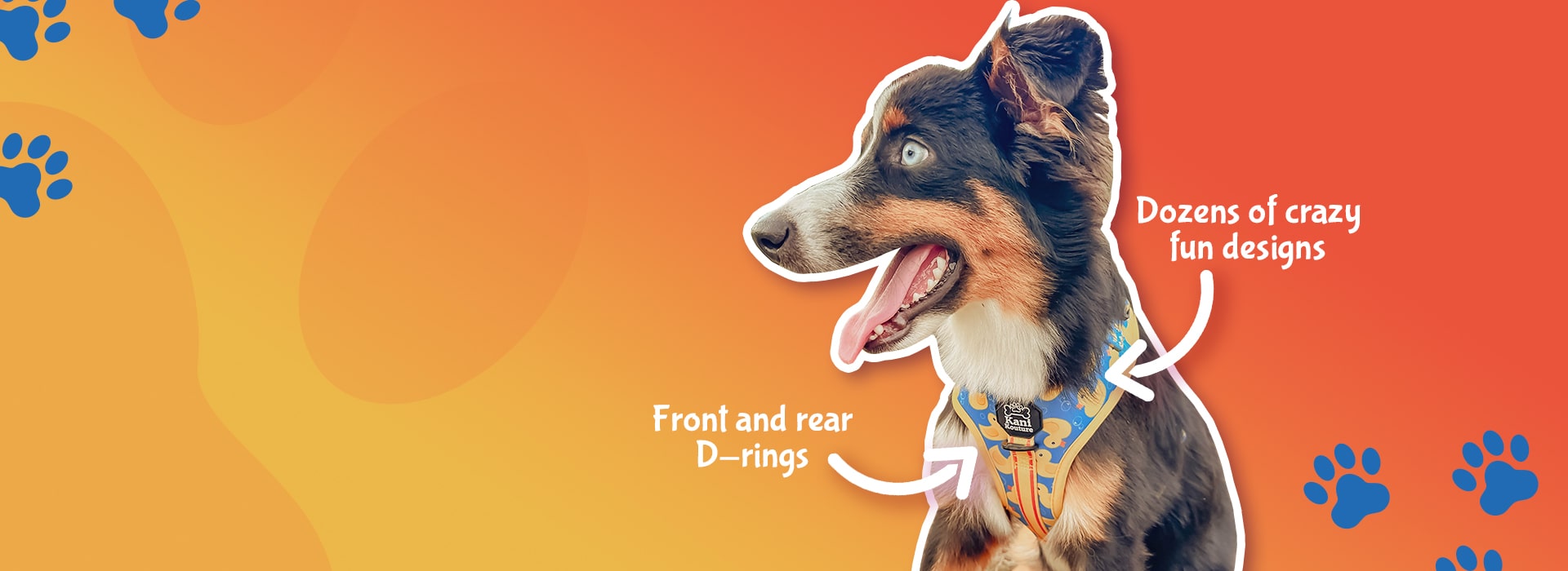 Chic Harnesses & Accessories for the Trendsetting Pup