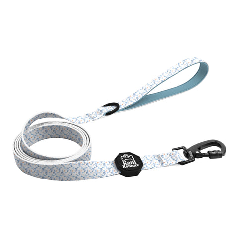 Big Air Leash: Stylish Dog Leash for Safe and Enjoyable Walks