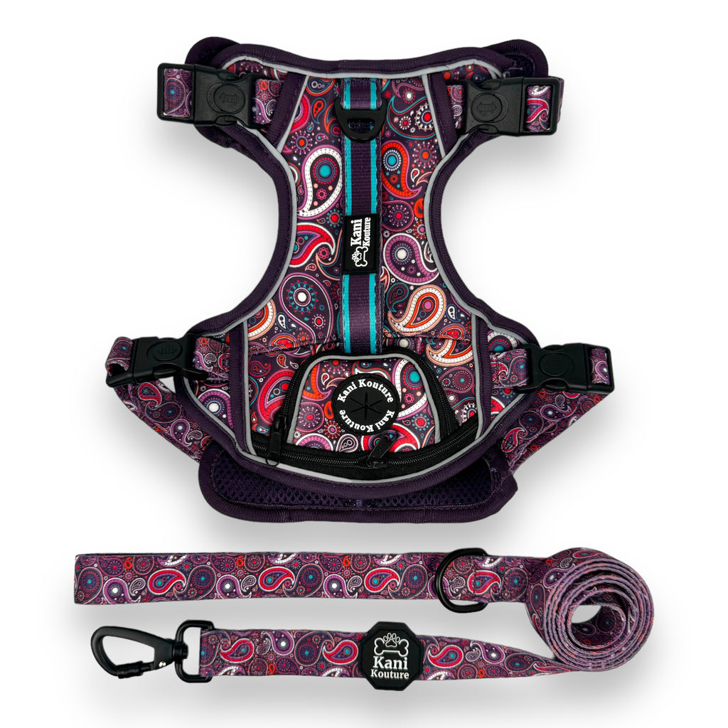 Purple Paisley - Adventure Harness