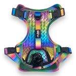 Mystical Haze - Adventure Leather Harness