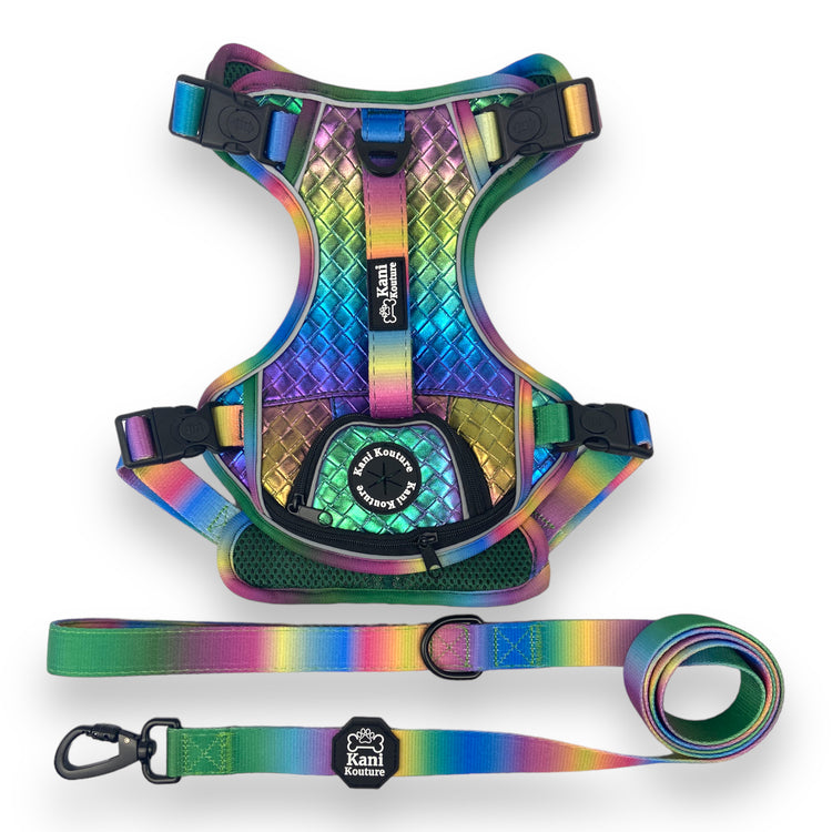 Mystical Haze - Adventure Leather Harness