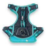 Tiffany Twilight - Adventure Leather Harness