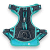Tiffany Twilight - Adventure Leather Harness