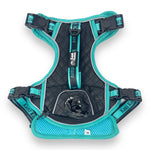 Tiffany Twilight - Adventure Leather Harness