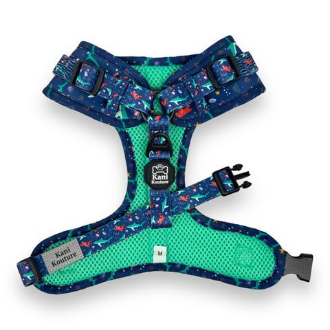 Scuba Dive - Adjustable Harness