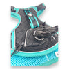 Tiffany Twilight - Adventure Leather Harness