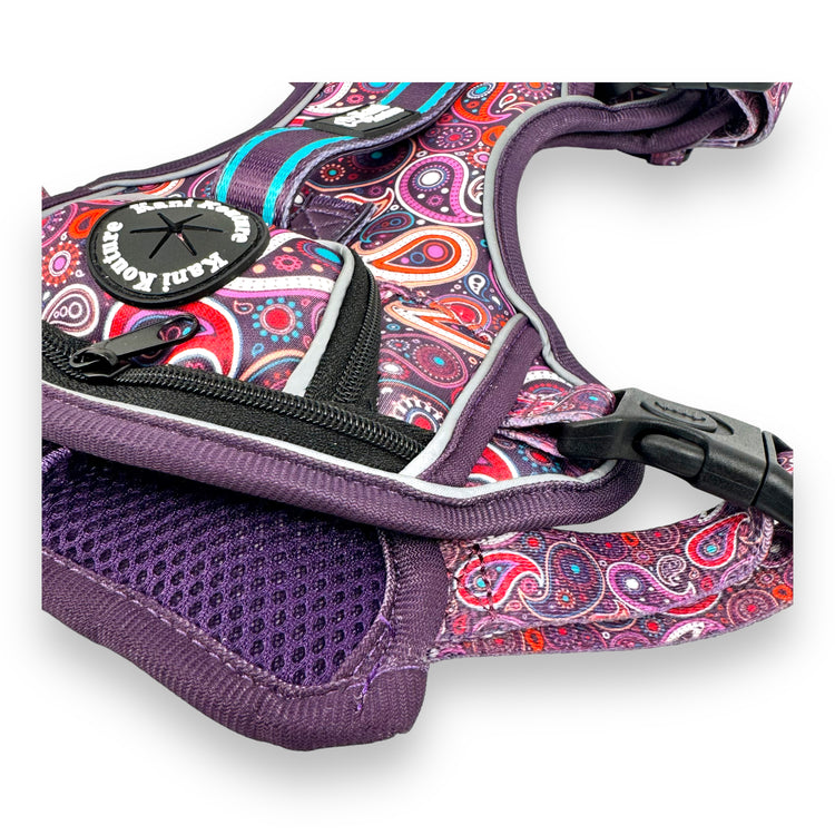 Purple Paisley - Adventure Harness