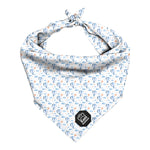 Big Air Cooling Bandana: Stylish Dog Accessory for Keeping Your Pup Cool