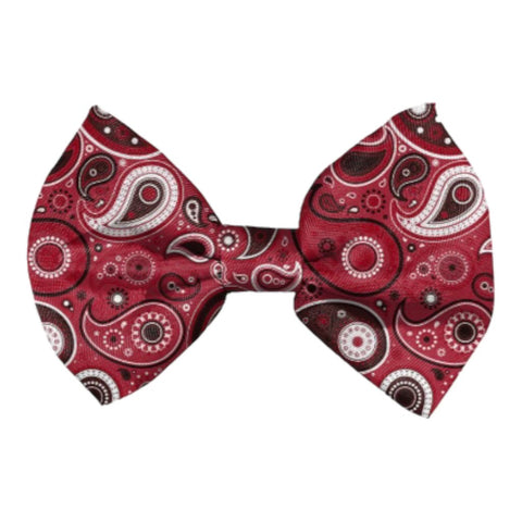 Red Paisley - Bow Tie