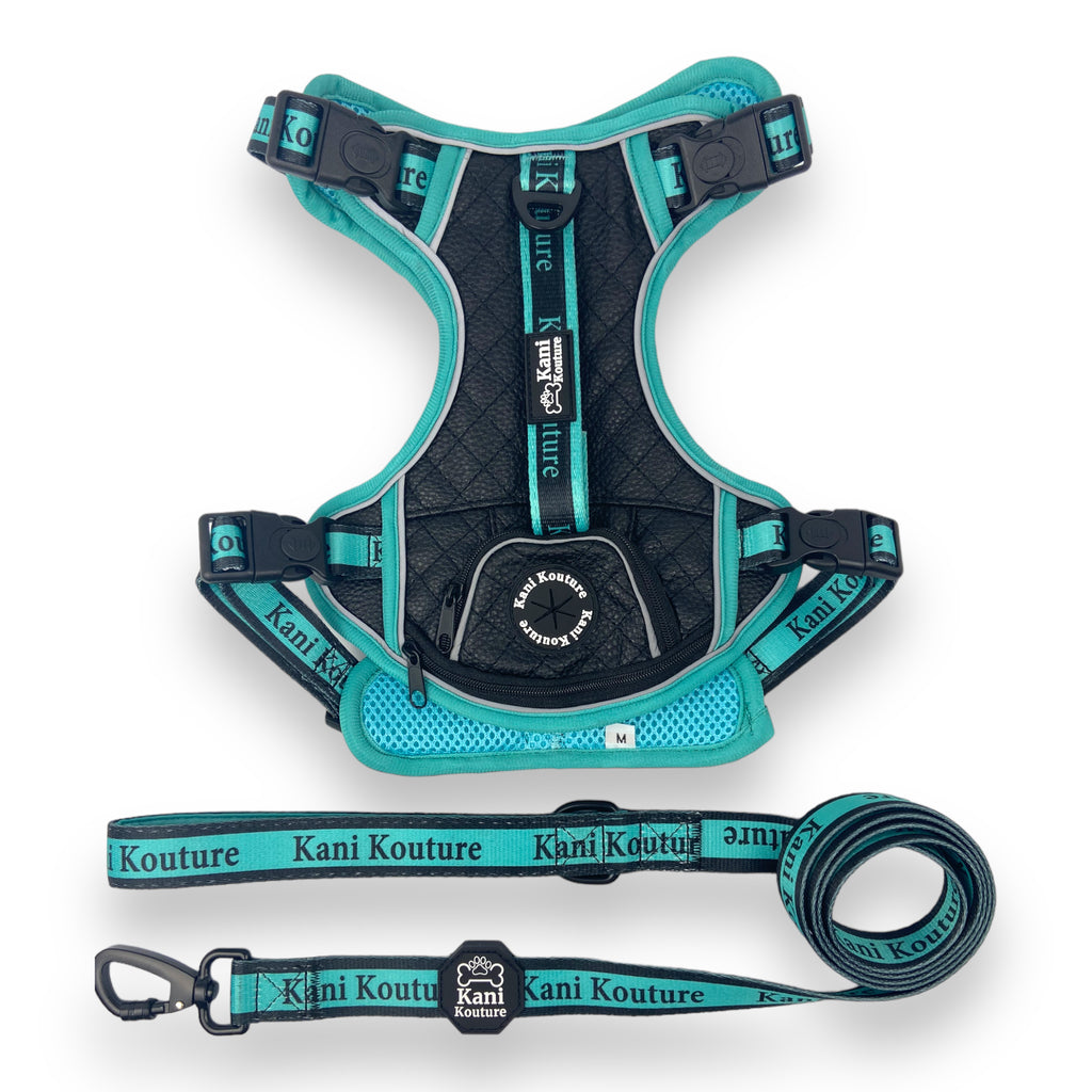 Tiffany Twilight - Adventure Leather Harness
