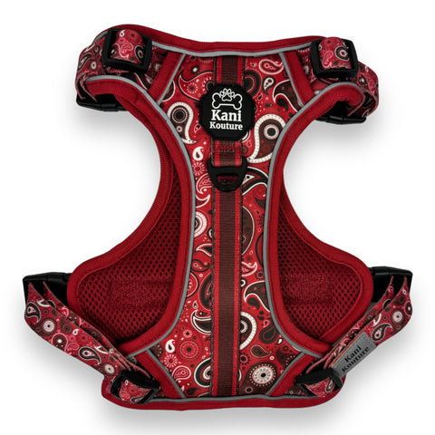 Red Paisley - Adventure Harness