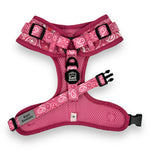 Pink Paisley - Adjustable Harness