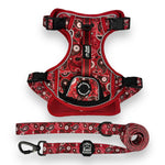 Red Paisley - Adventure Harness