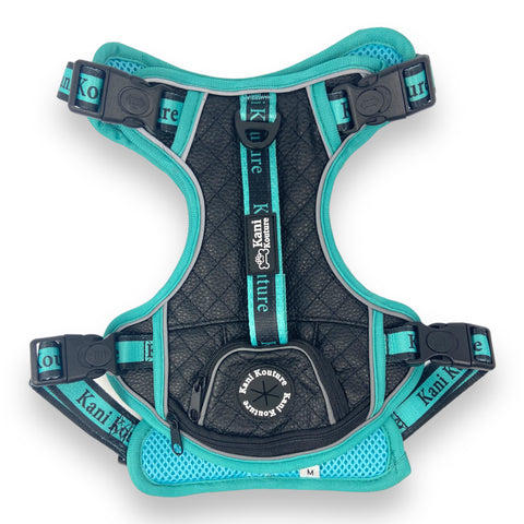 Tiffany Twilight - Adventure Leather Harness