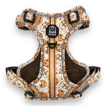 Milk & Cookies - Adventure Harness