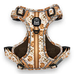 Milk & Cookies - Adventure Harness