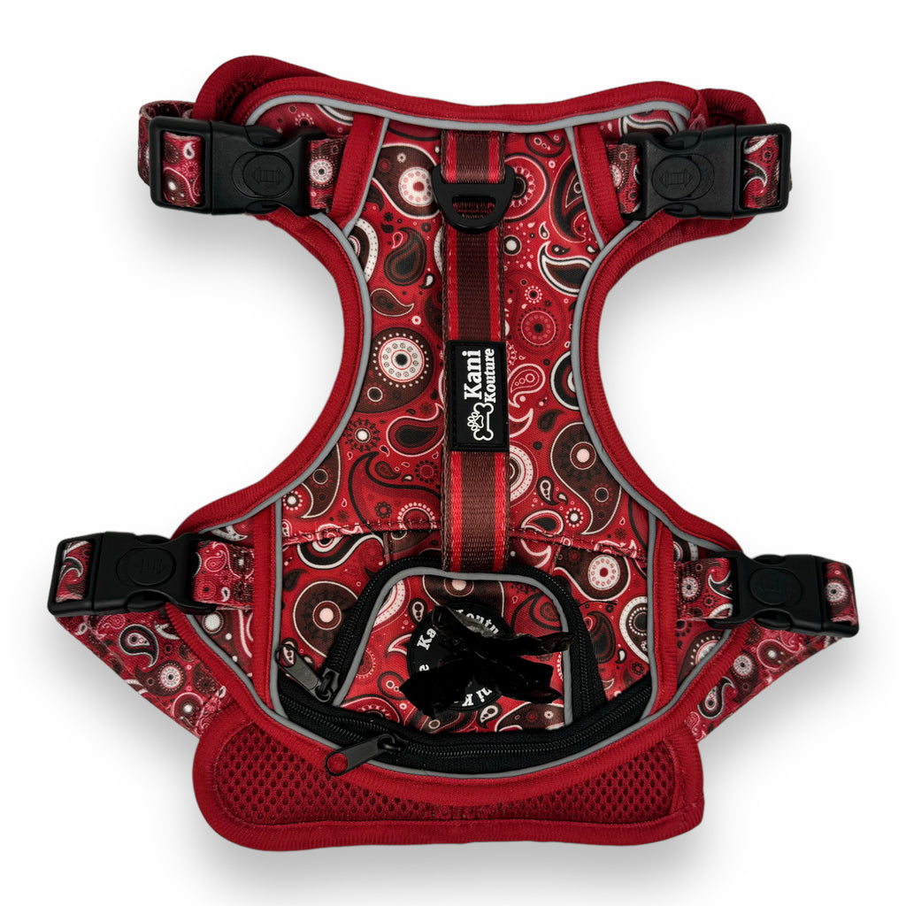 Red Paisley - Adventure Harness