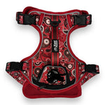 Red Paisley - Adventure Harness