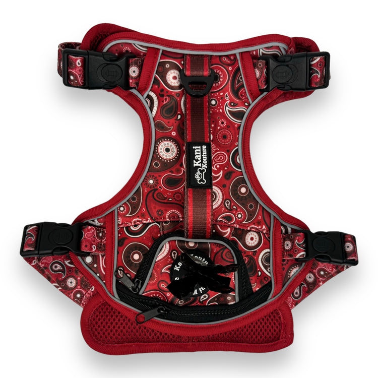 Red Paisley - Adventure Harness