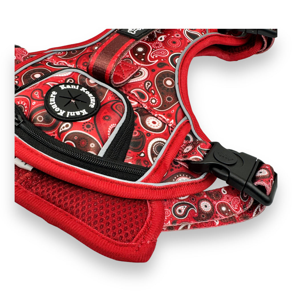 Red Paisley - Adventure Harness
