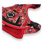 Red Paisley - Adventure Harness